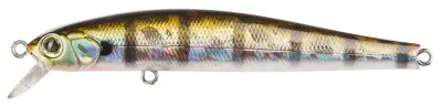 Воблер ZIPBAITS ZBL SYSTEM minnow 9F 90мм, 9 г. (ZB-ZBL-9F-509R)