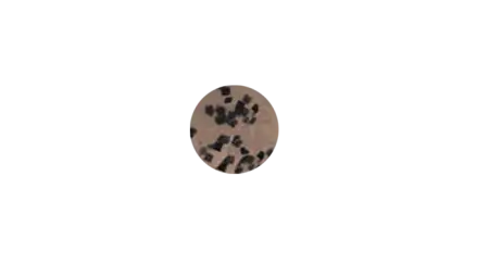 Пластиковый червь Gary Yamamoto Worms 4''