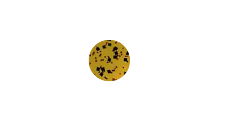 Пластиковый червь GaryYamamoto Senko 4''