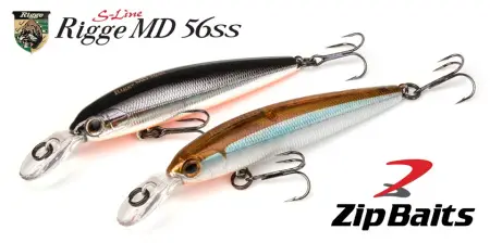 Воблер ZIPBAITS Rigge MD 56SS  56мм, 3.5гр. Воблер ZIPBAITS Rigge MD 56SS  56мм, 3.5гр.