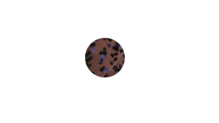 Пластиковый червь GaryYamamoto Senko 4''