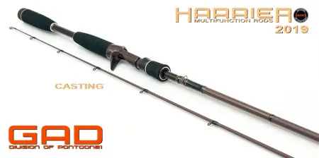 Кастинговое удилище GAD Harrier, 244 см., 12,0-45,0 гр., 12-25 Lb., X-Fast