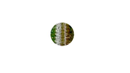 Пластиковый червь GaryYamamoto Senko 4''