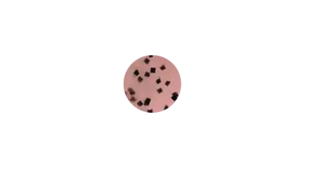 Пластиковый червь Gary Yamamoto Worms 4''