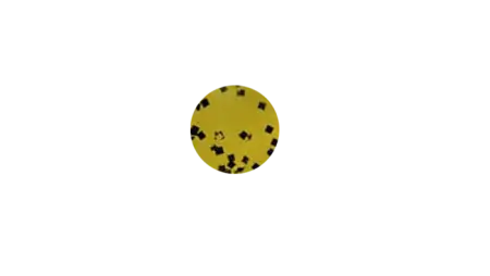 Пластиковый червь GaryYamamoto Senko 4''