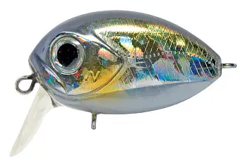 Воблер PONTOON21, Red Rag 36F-SSR, 36мм, 5,7 гр., 0.0-0.05 м.