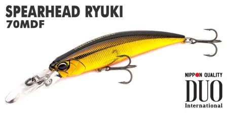 Spearhead Ryuki 70